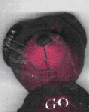 chsbear2.gif